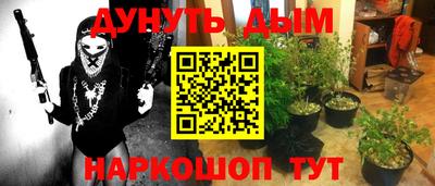 сатива Чебаркуль