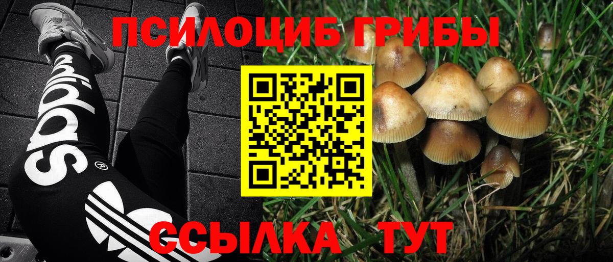Псилоцибиновые грибы MAGIC MUSHROOMS Химки