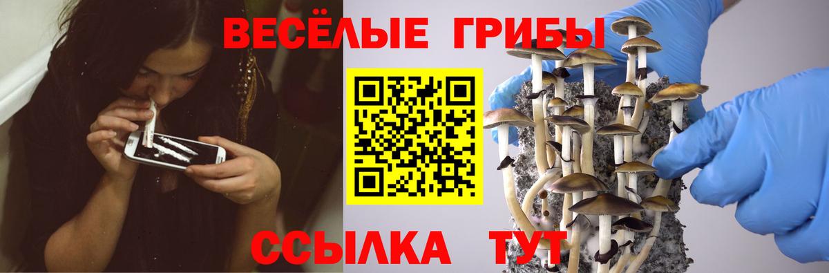Псилоцибиновые грибы ЛСД  Вход с VPN  Химки 